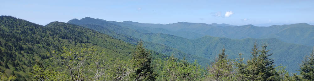 Header picture of the Black Mountain range approaching Mount Mitchell